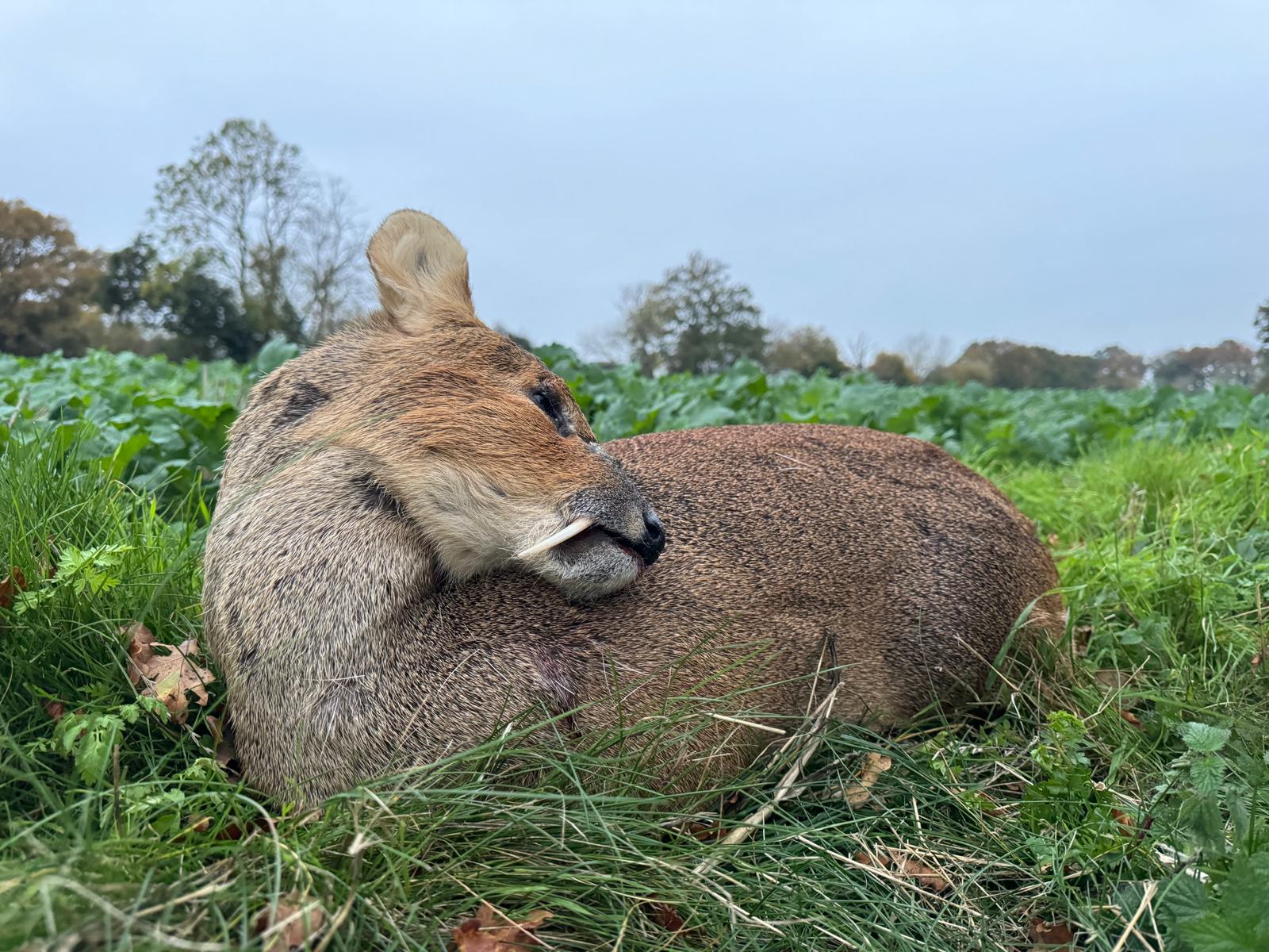 PHOTO-2025-04-18-07-43-50 kopie