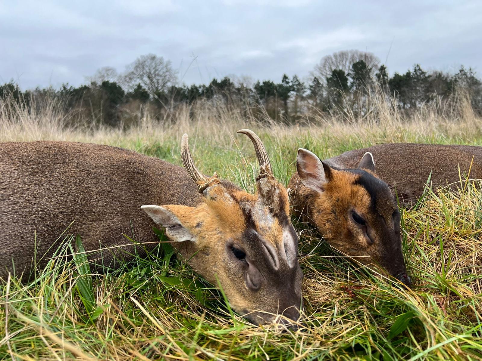 PHOTO-2025-04-18-07-43-50