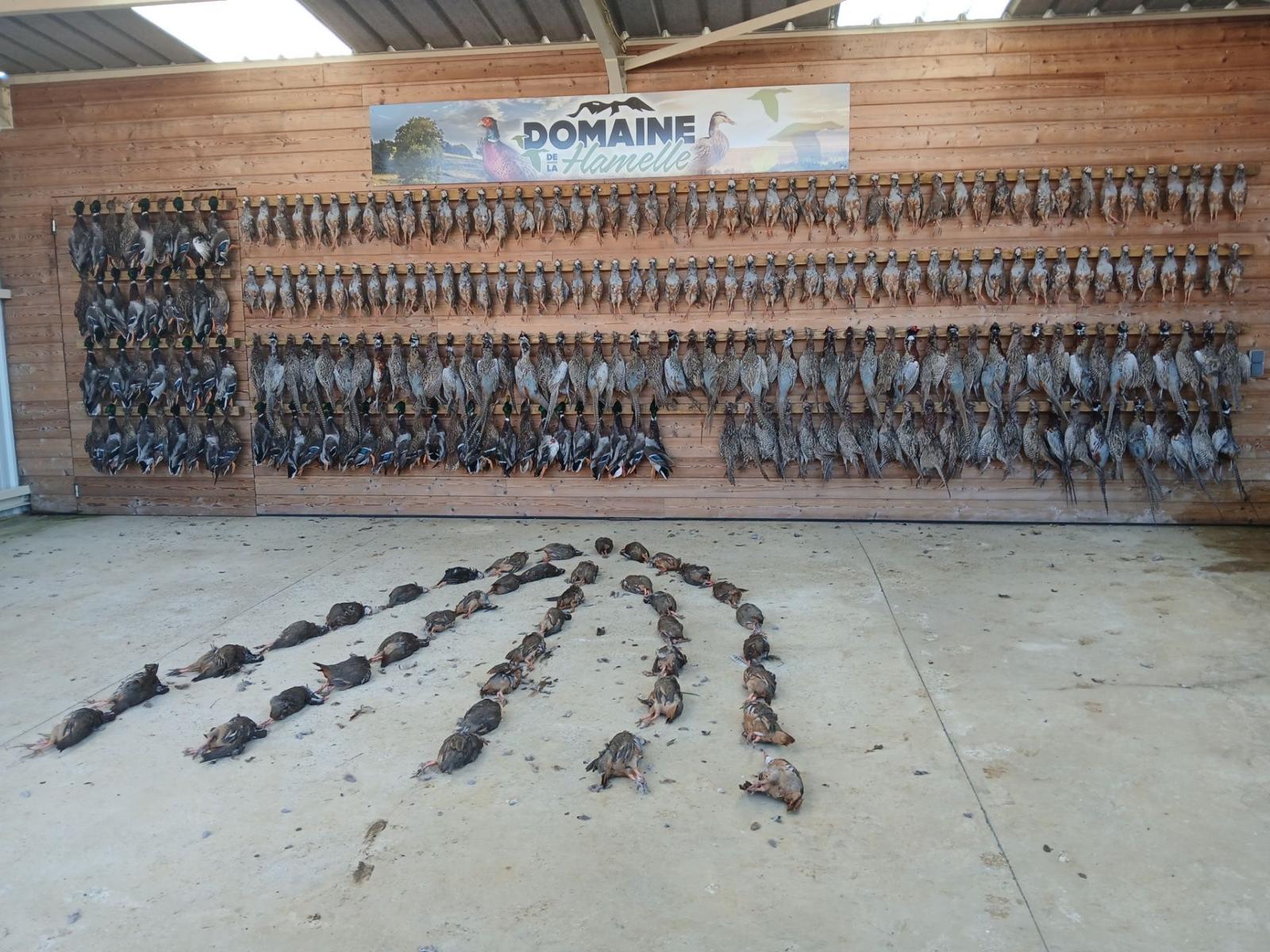 PHOTO-2025-05-04-19-00-32