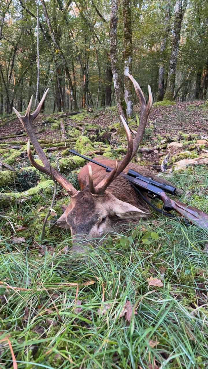 cff4befeecc2ee372612f1906c64b554