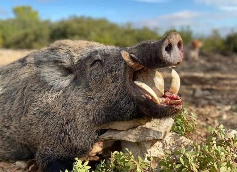 PHOTO-2025-04-09-12-56-06