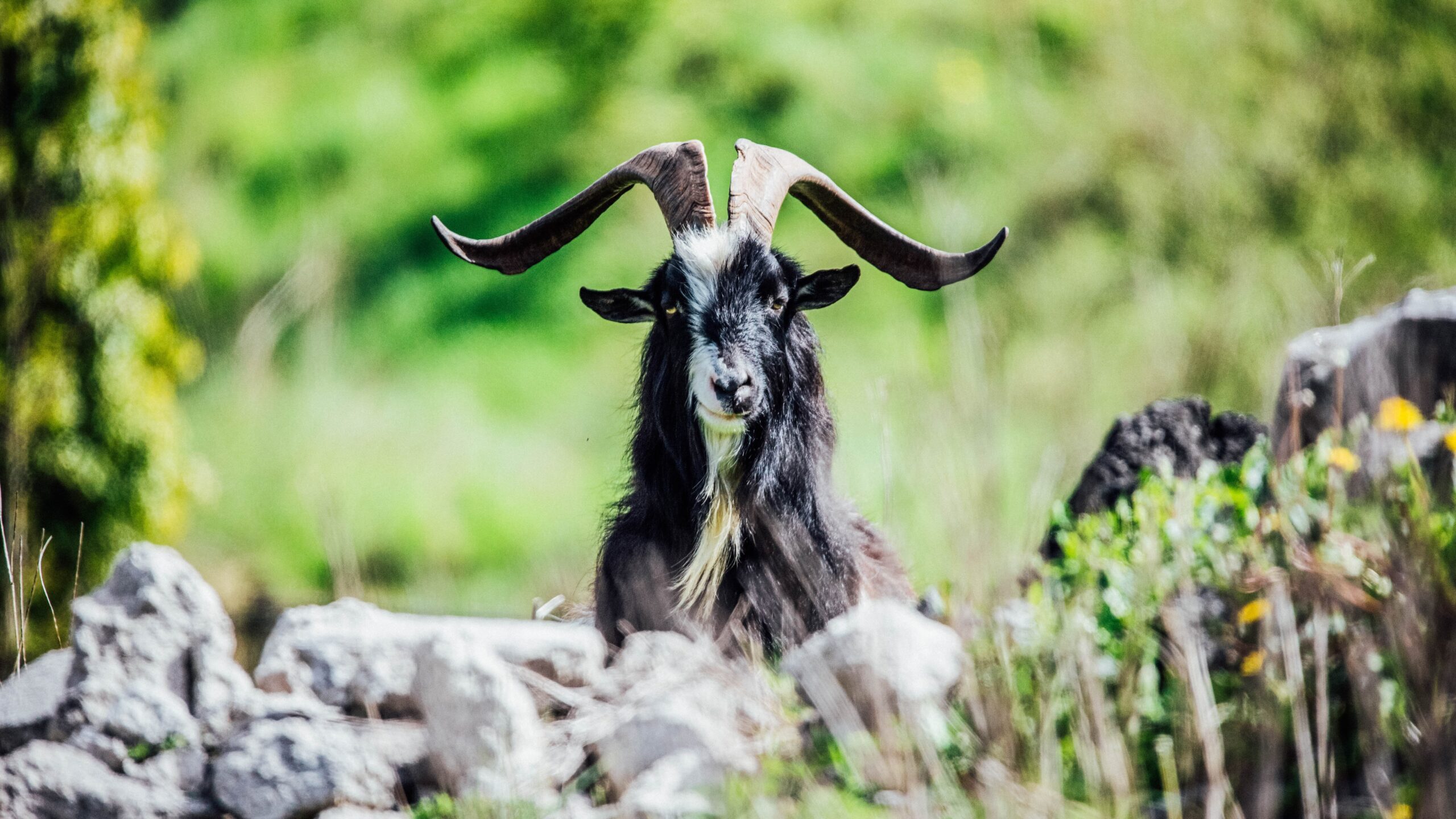 -methode-times-prod-web-bin-de1002ca-3de4-11e9-aa0a-30b9d78dd63b